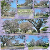 Artistic License Messy Moments Bases 04