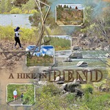 Artistic License Alpha Sets Bonus Bundle