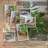 Artistic License Alpha Sets Bonus Bundle