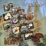 Artistic License Inspirations 4