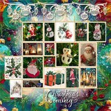 Sleigh Ride Spirit COLLECTION