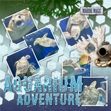 Prizewinner Grab Bag