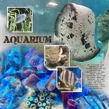 Prizewinner Grab Bag