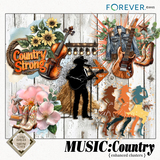 Music-Country Bundle