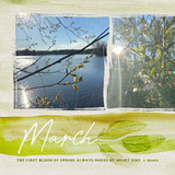 2026 - Life in Watercolor 12x18 Pre-designed Calendar