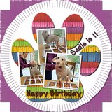 Everyday Fringe Bundle