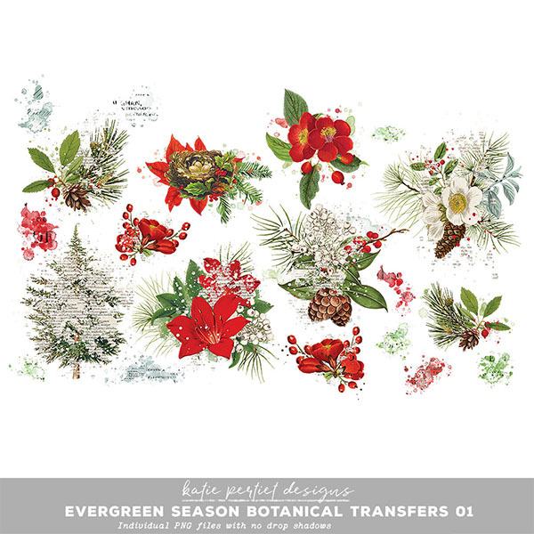 Vintage Evergreen Season Botanical Transfers 01 Digital Art - Digital Scrapbooking Kits