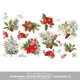 Vintage Evergreen Season Botanical Transfers 01