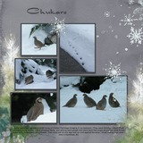 EZ Mask Accents - Winter