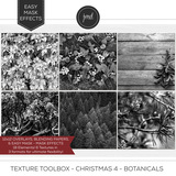 Texture Toolbox & Color Blends Christmas Bundle
