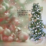 Texture Toolbox & Color Blends Christmas Bundle