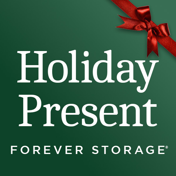 2.5 GB Storage Holiday Present (per 25 GB)