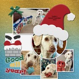 Christmas Silhouette Enhanced Photo Clusters