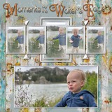 DesignMaster - Focus & Frame 02