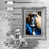 Curated Colors Silver Alpha Set