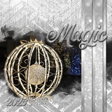 Silver Glitter Alpha Set