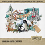 Woodland Winter Clusters 2