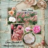 Mixed Mish Mash Set 2 Bundle