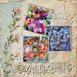 Mixed Mish Mash Set 2 Bundle