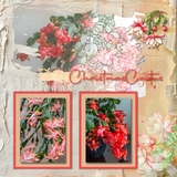 Mixed Mish Mash Set 2 Bundle