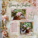 Mixed Mish Mash Set 2 Bundle