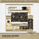 Elegant Black & Gold Bundle