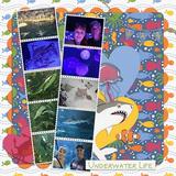 Everyday Enhanced EZ Pages 2