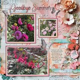 Clustered Border Background Set 6