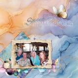 A Fluid State of Mind Bundle