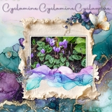 A Fluid State of Mind Bundle