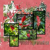 Watercolored 2 - Red, Green, & White Solid Paper Bundle