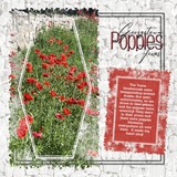 Easy Mask Mats Shaped 01