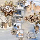 Engraved Wood Rounds - Winter