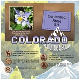 Engraved Wood Rounds - Winter