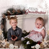 Decorative Photo Corners - Winter