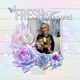 Curated Colors Iridescent Bundle