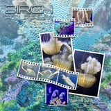 Artistic License Confetti Sprays