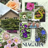 Creative Drift 01 - Templates and More