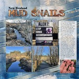 Love & Friendship Bundle