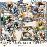 12 Volumes - Vol 1 - In the Moment Bundle