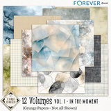 12 Volumes - Vol 1 - In the Moment Bundle