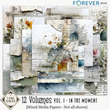 12 Volumes - Vol 1 - In the Moment Bundle