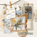 12 Volumes - Vol 1 - In the Moment Bundle