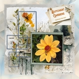 12 Volumes - Vol 1 - In the Moment Bundle