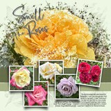 Artistic License Twinkle Tales