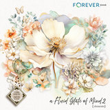 A Fluid State of Mind 2 Bundle