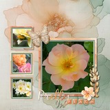 A Fluid State of Mind 2 Bundle