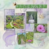 A Fluid State of Mind 2 Bundle