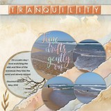 A Fluid State of Mind 2 Bundle