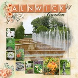 A Fluid State of Mind 2 Bundle